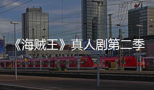 碑爆鲜度棚烂番茄新人剧贼王真海季口第二开分