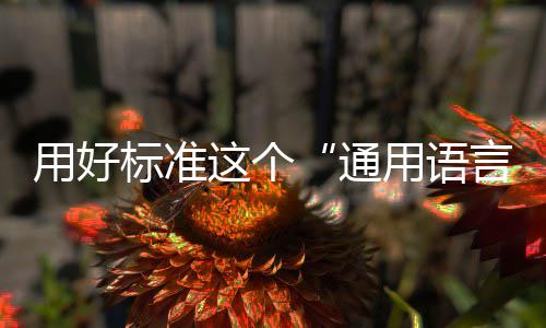 标准通这个用好用语言